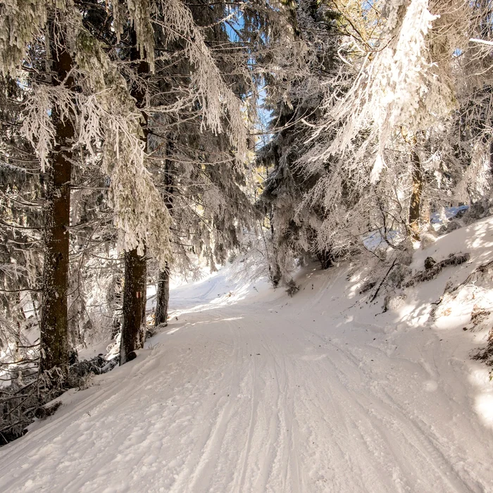 On the paths of the Apuseni PHOTO Magic Romania