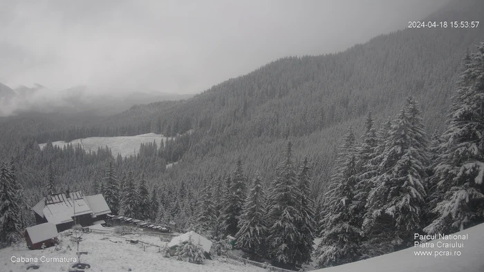Curmătura Cottage PHOTO Piatra Craiului National Park