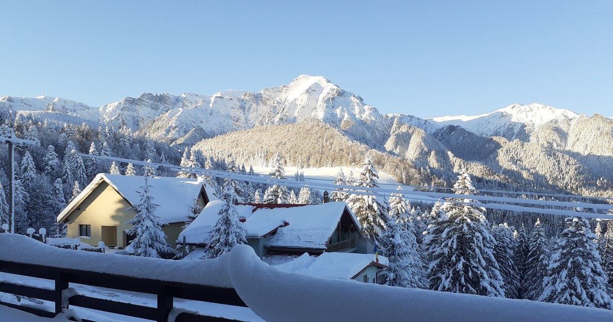 A lodger's desperate gesture: "Pay what you can afford. It's the first year I've had no guests for Christmas"