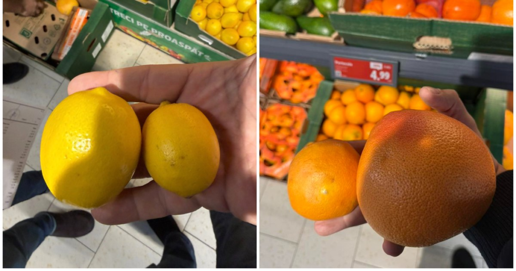 ANPC director: "We are the laughing stock of citrus importers! How do they get on the shelf?"