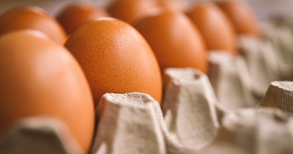 Romanian TIR driver without a license, fined almost 10,000 euros in Italy. Irregularities found while transporting 400 eggs