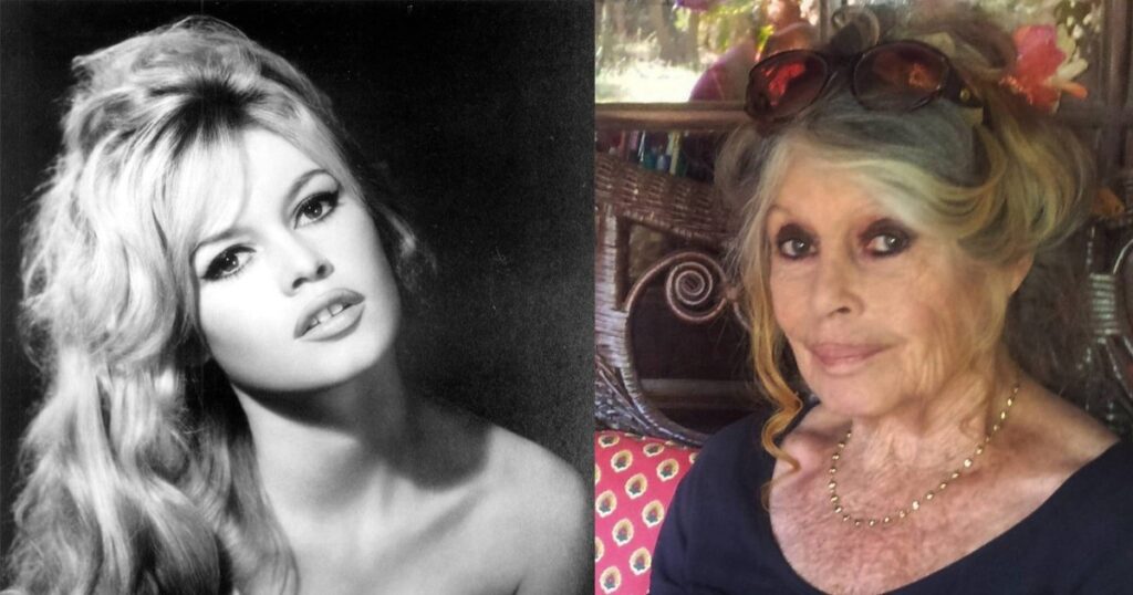 Court battle over Brigitte Bardot's estate. The husband and son contest the will of the actress. To whom he left a large part of the money