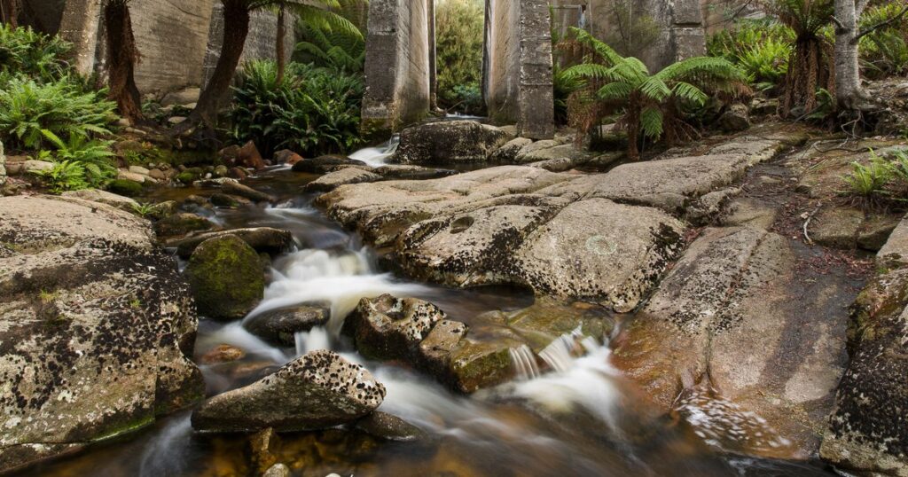 How the AI ​​sent dozens of tourists to a place that doesn't exist: "I told them I'd give them beer all night if they found it"