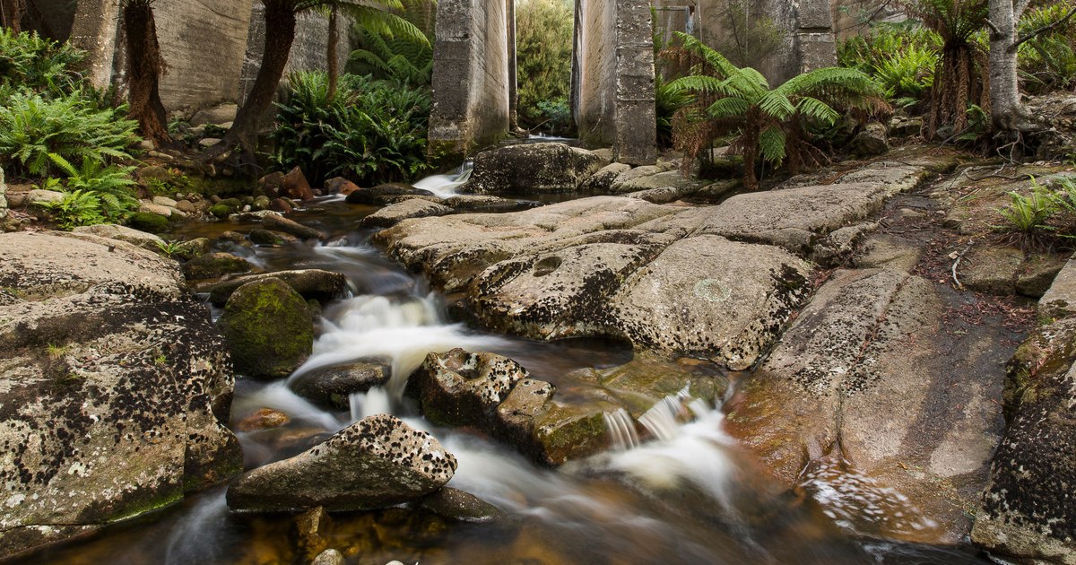 How the AI ​​sent dozens of tourists to a place that doesn't exist: "I told them I'd give them beer all night if they found it"