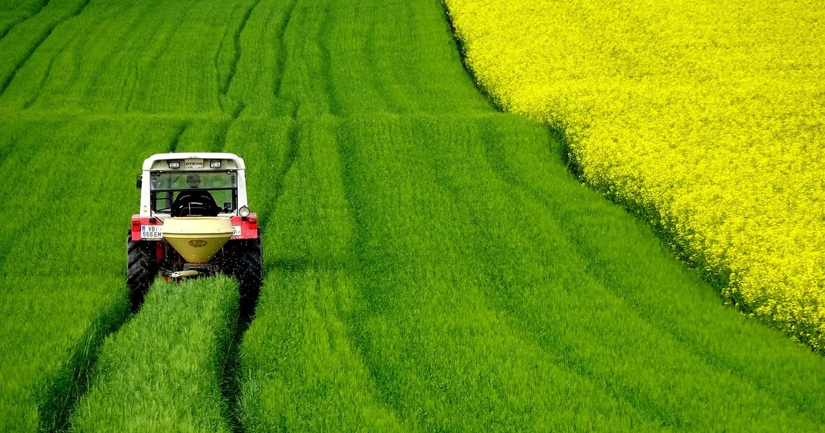 The agricultural hectare in Romania, 23 times cheaper than in the country with the most expensive land in the EU. How we stand in the European ranking