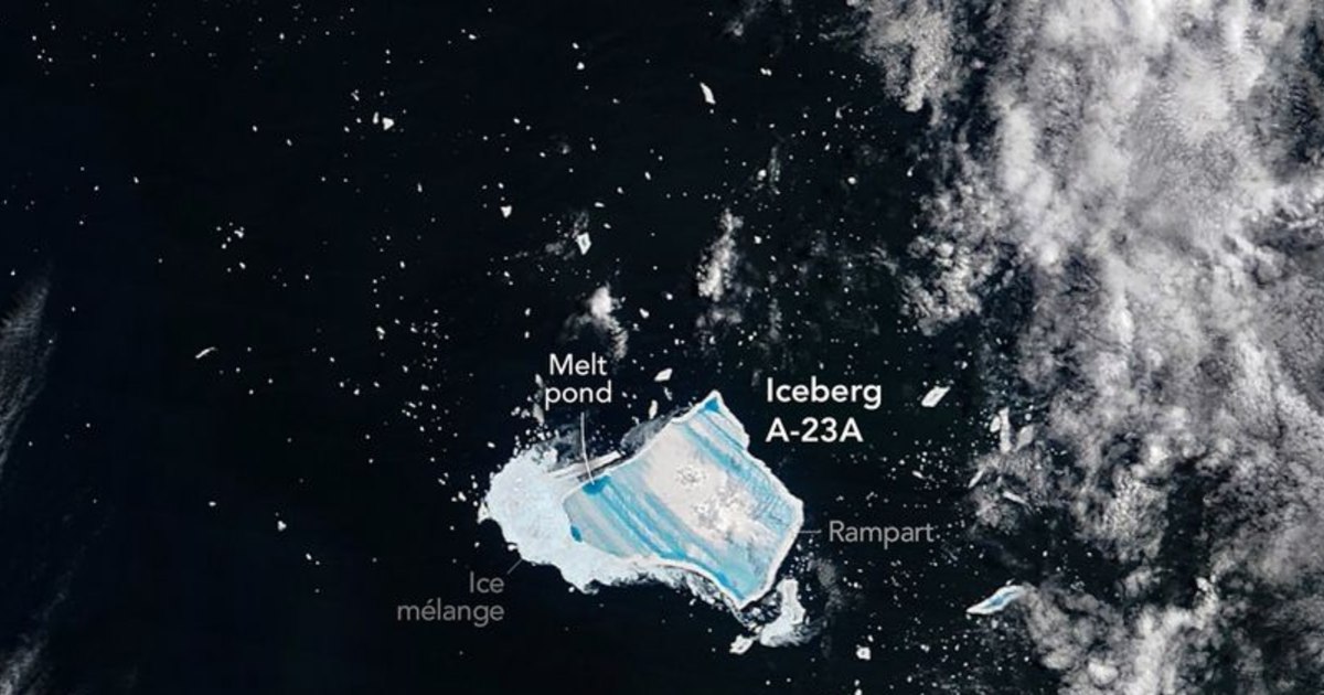 The reason why the world's largest iceberg turned blue. What Happens to the "King of the Seas"