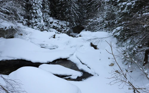 Lolaia waterfall from Retezat, winter Photo Daniel Guță THE TRUTH (10) JPG