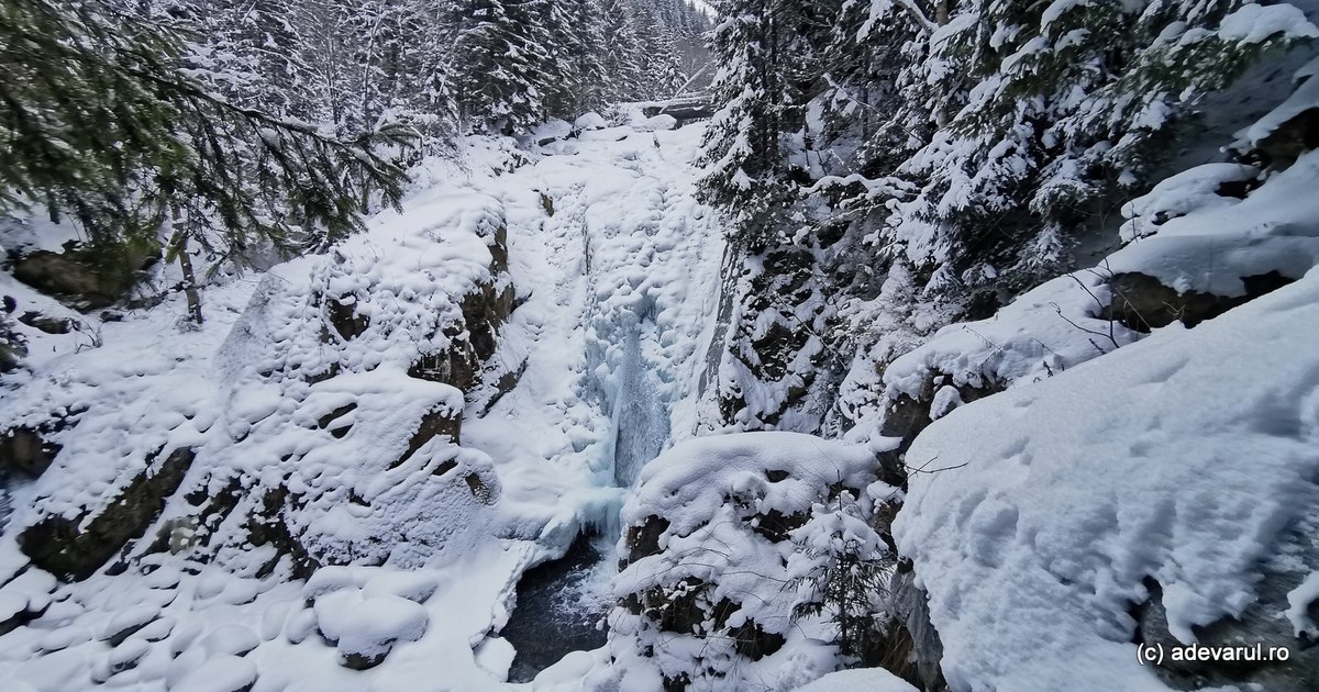 Video Lolaia Waterfall, the ice monument in Retezat. What do tourists find in winter in the emblematic place on the Pietrele valley