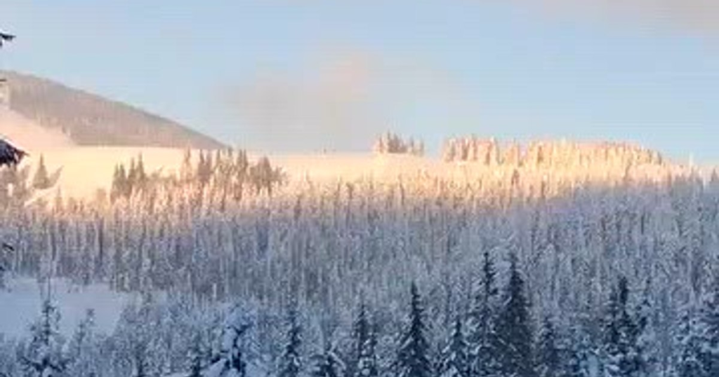 Video Two deer, caught near a tourist route in the Rodna Mountains. Gendarmi: "The advantage of having the office in the heart of nature!"