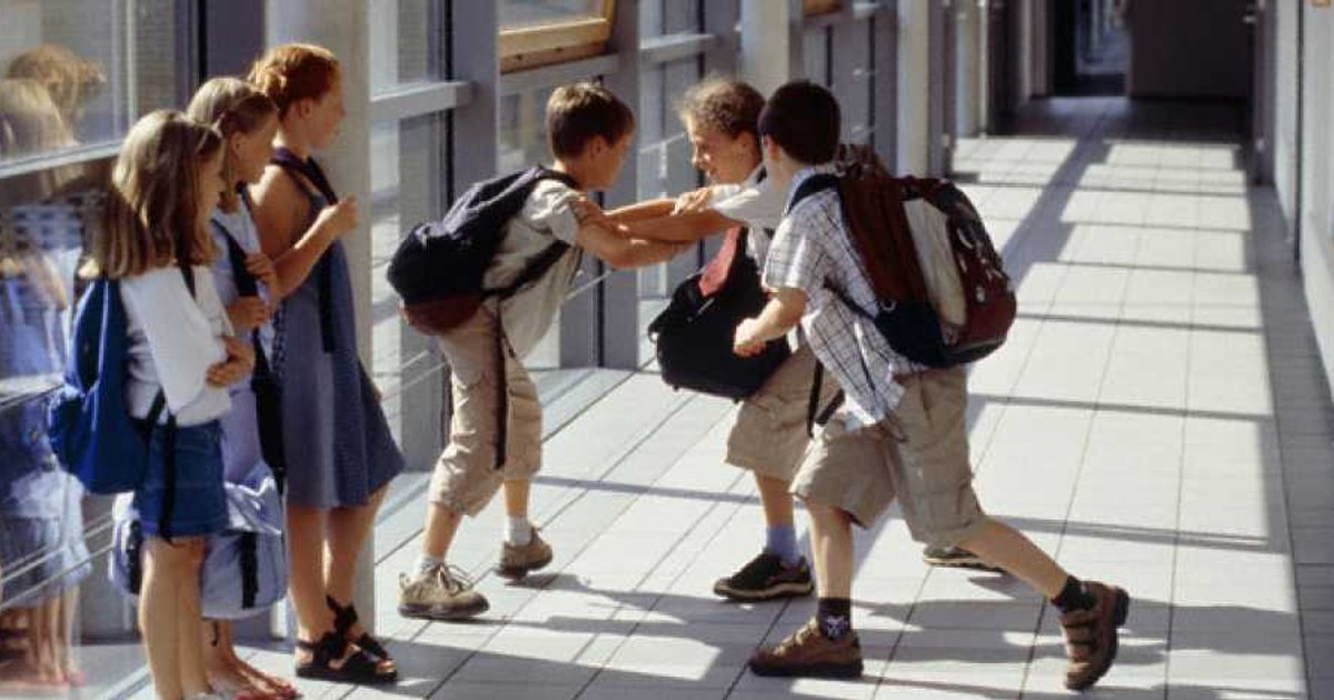 Violence in schools, a growing phenomenon: almost 1,900 cases in a single school year