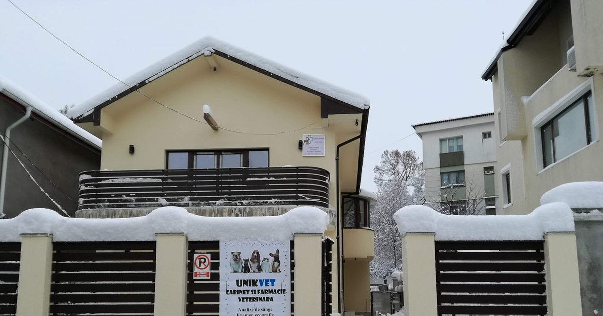 A woman from Iasi was threatened with death after buying a villa: "He told her that he would kill her and the dogs in the yard"