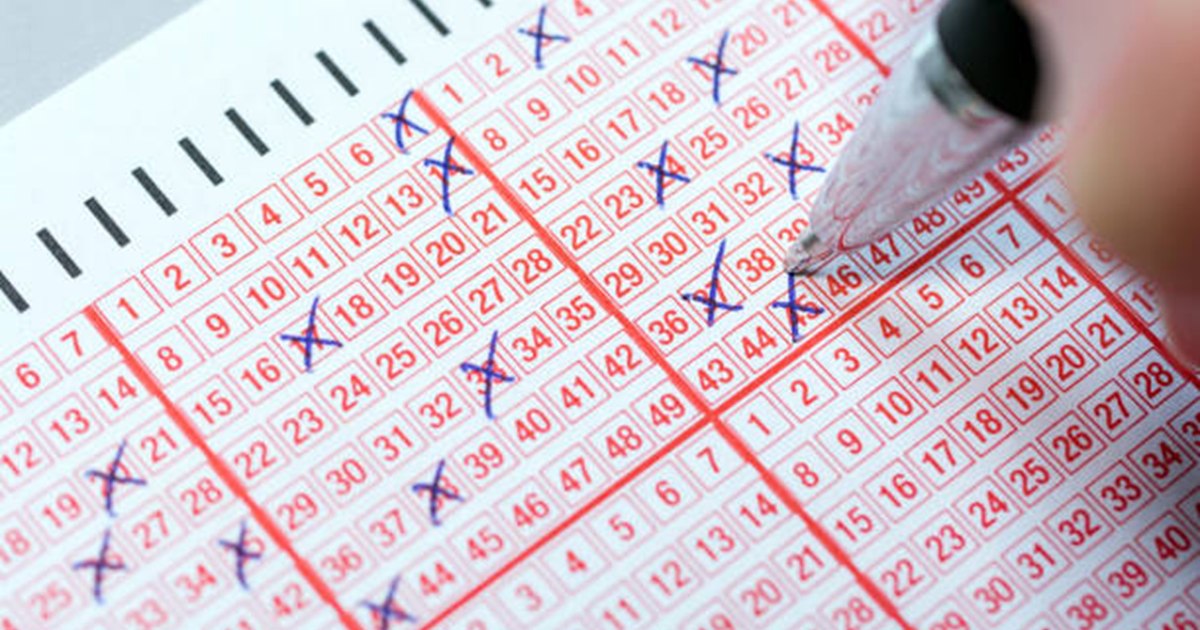 Lotto draws for Sunday, February 2. Carryover of almost 4 million euros to Lotto 6/49