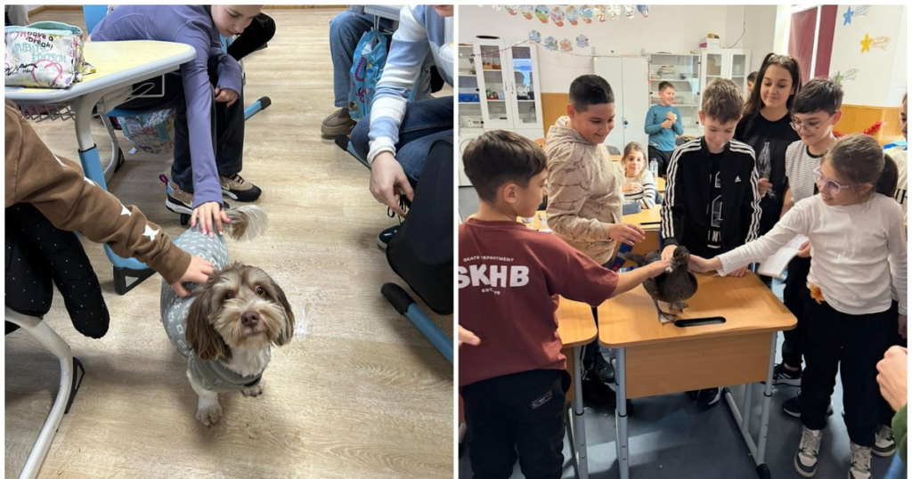 Optional 'Time with and for animals' to be introduced in schools nationwide: 'Will make today's students into responsible adults'