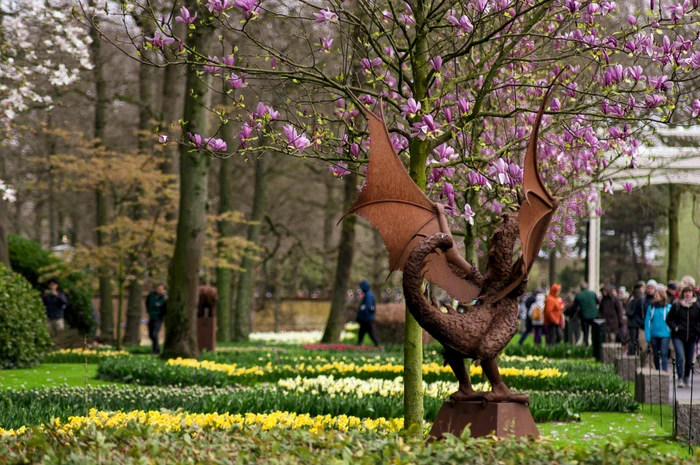 The house of flowers. PHOTO: Unsplash