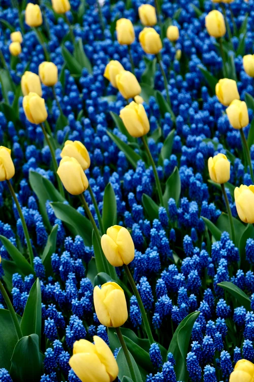 Paired colors. PHOTO: Unsplash