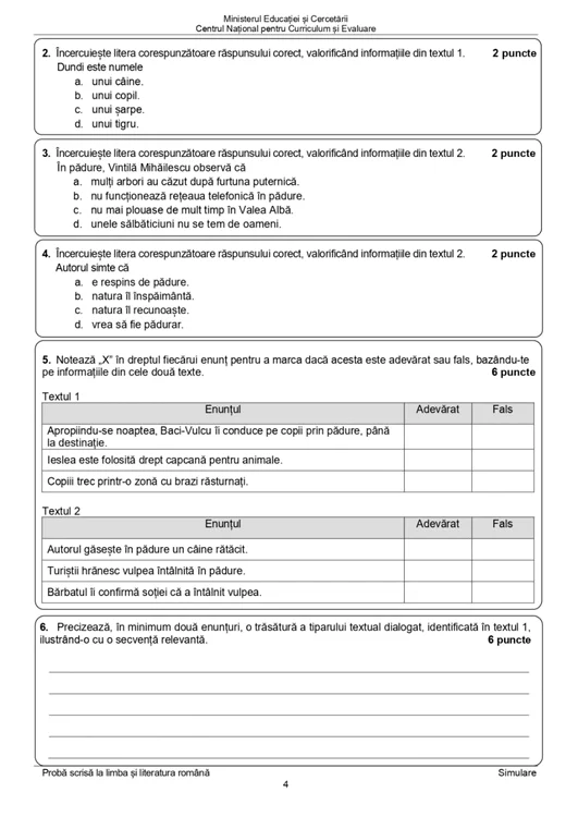 Romanian topics Simulation 3 jpg