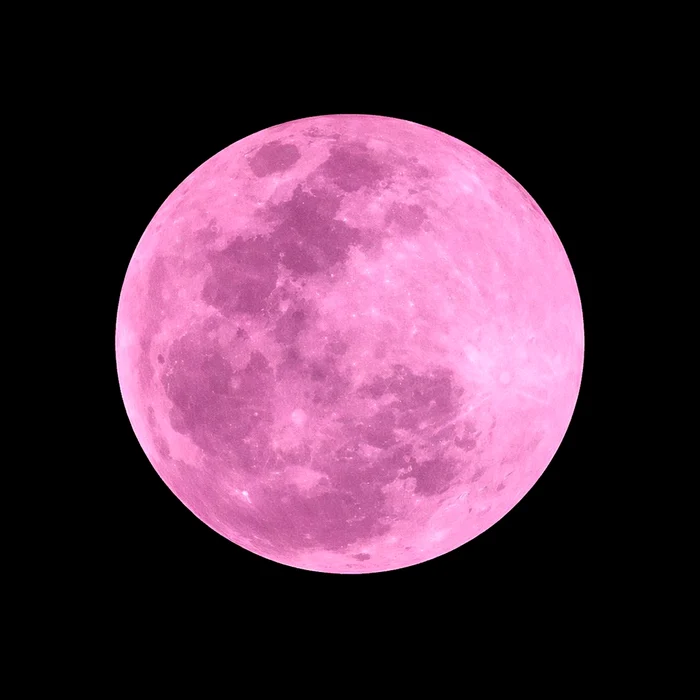 Pink Moon PHOTO: X