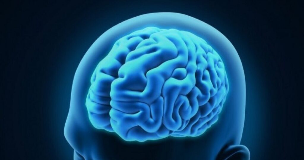 How the human brain actually ages. Certain areas are affected more quickly and increase the risk of dementia STUDY