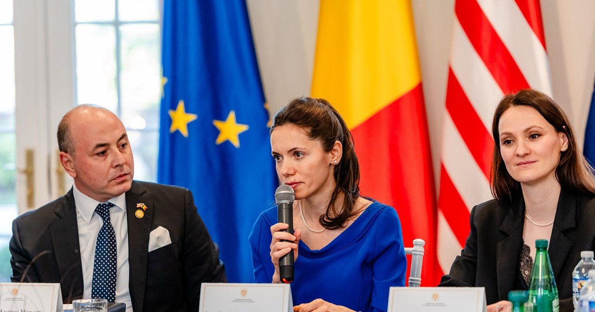 Mirabela Grădinaru, round table in Washington with Romanian doctors from the USA, about the prevention of addictions in children