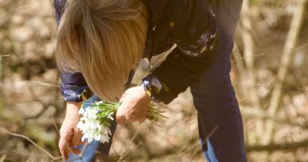 The snowball's dilemma. A photo shared by Lucian Mîndruță set Facebook ablaze: "The car he got into cost 50,000 euros"