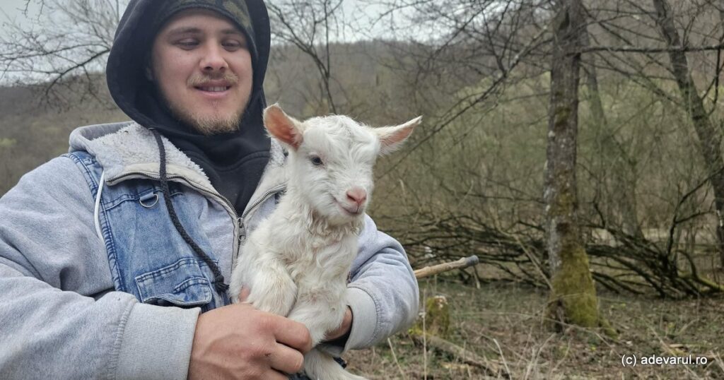 Video Life in the forgotten villages of the Zarandului Mountains. "The whole land was roamed by bands of outlaws"
