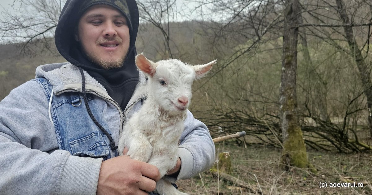 Video Life in the forgotten villages of the Zarandului Mountains. "The whole land was roamed by bands of outlaws"