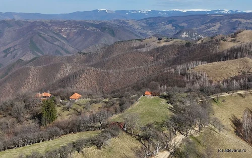 Ursici Photo Daniel Guță THE TRUTH (6) jpg