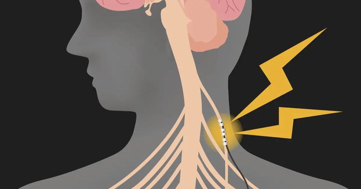 What is vagus nerve and how it went viral on social media