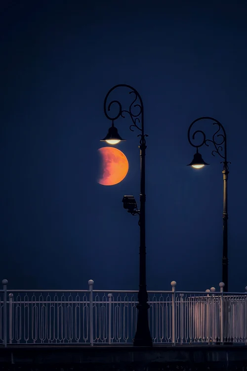 Photo Vasile Mihai Antonio XMAGE 2025 jpg