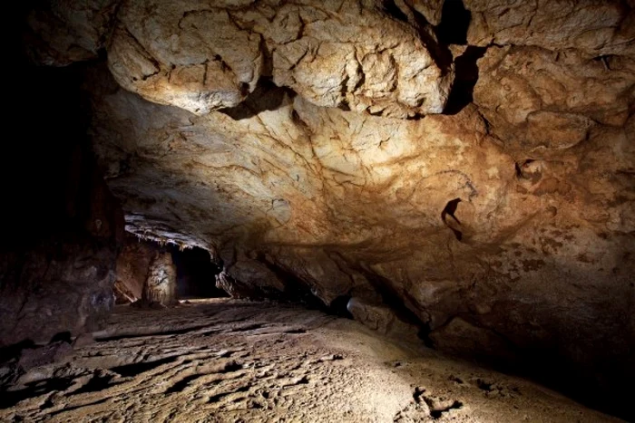 Cave paintings in Coliboaia Cave. Photo: Andrei Posmoșanu. 