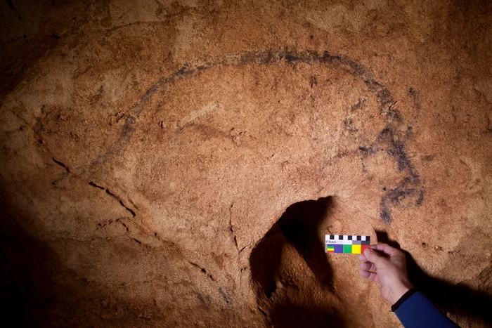 Cave paintings in Coliboaia Cave. Photo: Andrei Posmoșanu. 