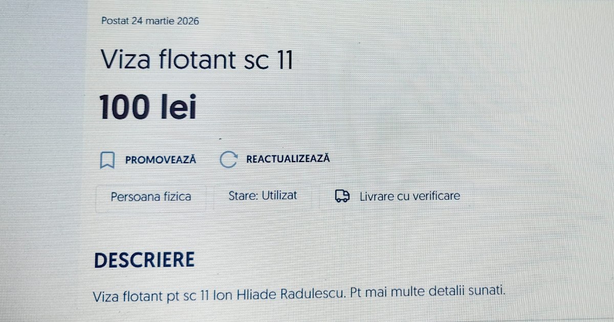 How do we get rid of floating visas? "There are no schools so good that it's worth raising your child in traffic"