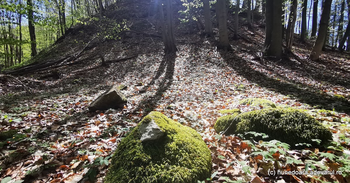 Video Enigmas of the Pustiosu sanctuary, on Via Transilvanica. The secret place of the Dacians, near the former uranium mines