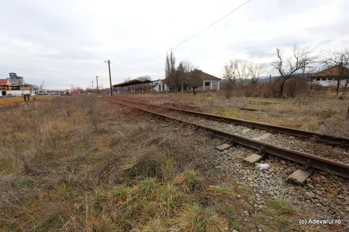 City of Stei Photo Daniel Guță THE TRUTH (7) JPG