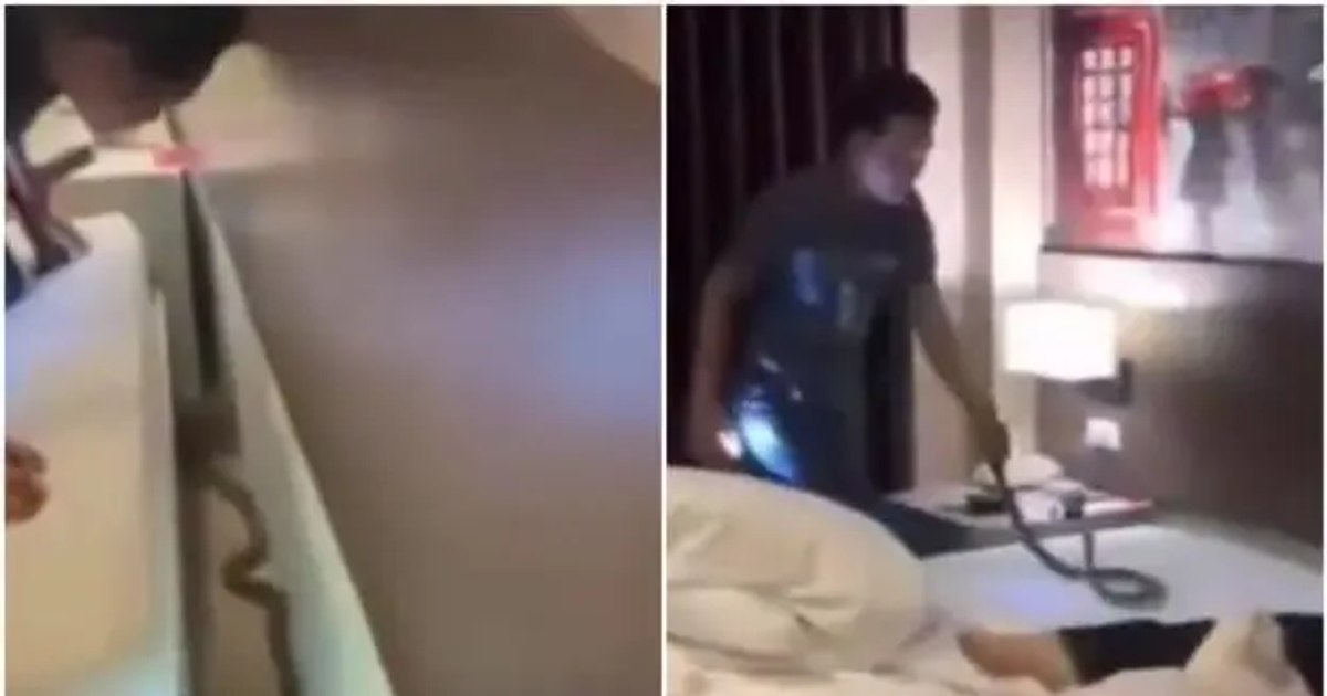 Video Horror vacation in Thailand: a couple of tourists woke up to the hissing of a cobra that crawled into their bed. "The snake passed over my neck"