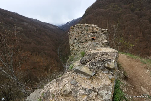 Cetatea Colț Photo Daniel Guță THE TRUTH (13) JPG