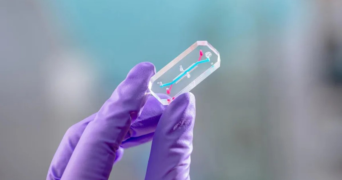 Video Why NASA Sent 'Organ Chips' Created From Artemis II Astronauts' Cells Into Space. How space could revolutionize medicine