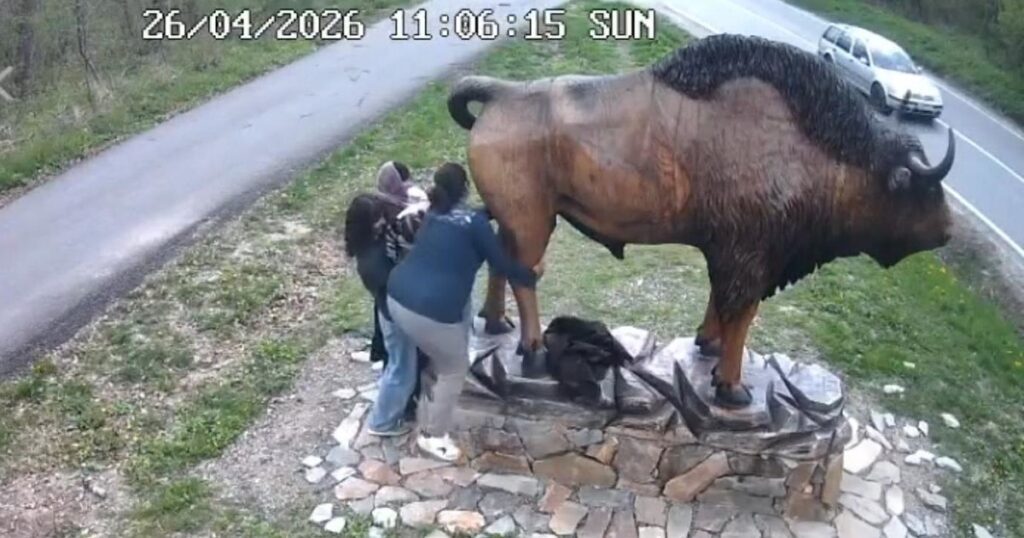 The images from Vânători-Neamț Park that caused a riot: "Where did you escape from?"