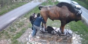 The images from Vânători-Neamț Park that caused a riot: “Where did you escape from?”