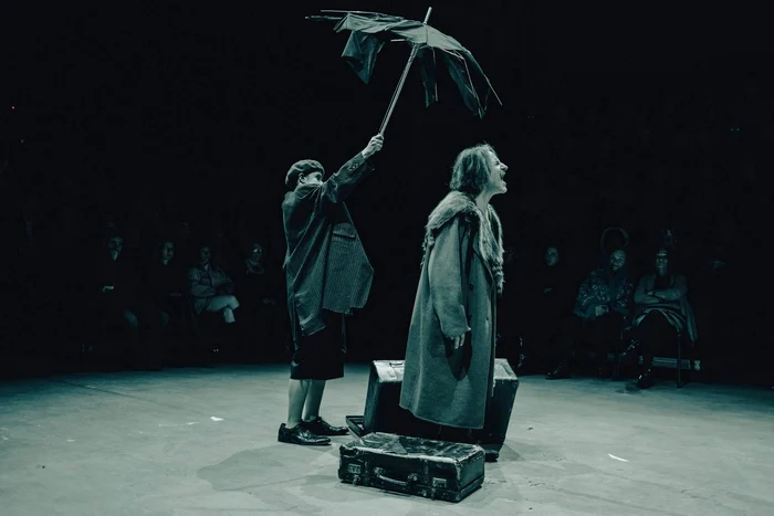 Ten days of theater in the capital of Oltenia