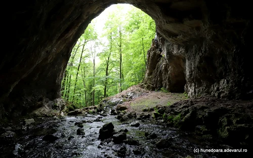 Luncani Stream and Cioclovina Cave from Hunedoara Photo Daniel Guță THE TRUTH (45) JPG