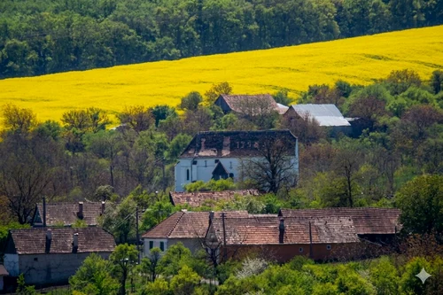 The old church in Păuca Photo Claudiu Nelega jpg