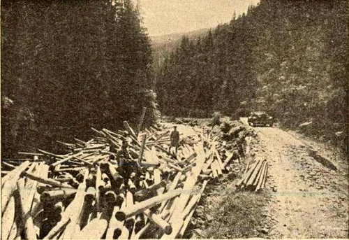 Transalpina in 1936 Weather Photo (1) jpg