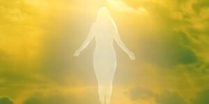 A leading scientist offers a disturbing insight into what happens to the body after death