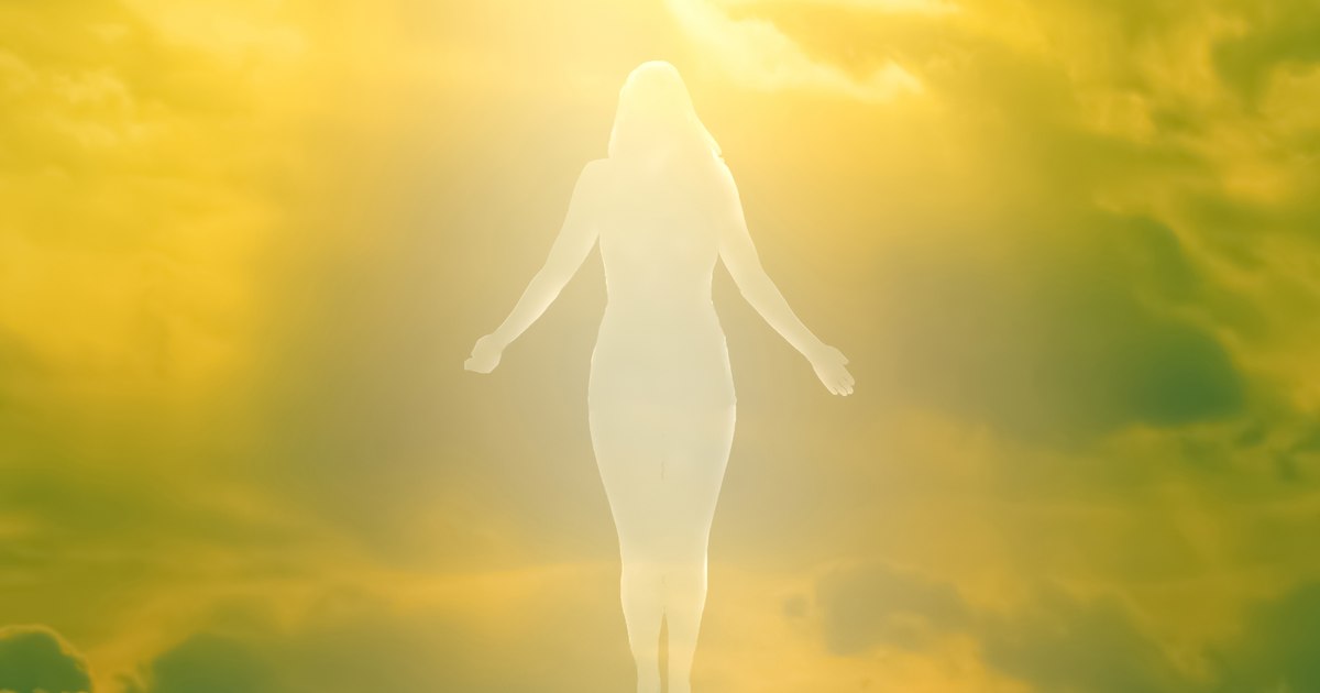 A leading scientist offers a disturbing insight into what happens to the body after death