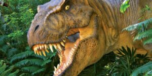 Amazing discovery of the largest T-Rex ever found. What researchers say about dinosaur blood vessels
