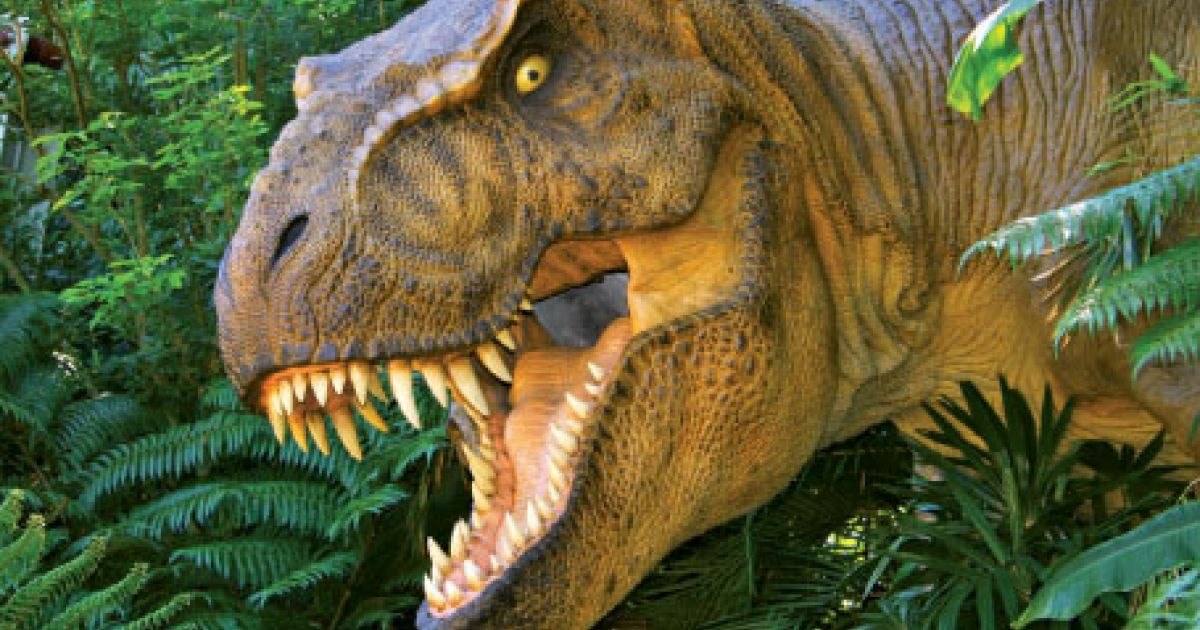 Amazing discovery of the largest T-Rex ever found. What researchers say about dinosaur blood vessels
