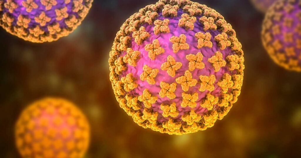 Exclusive Suspicion of Hantavirus in Romania. What Dr. Marinescu (Matei Balș) says: "The authorities should get rid of rodents, first of all"