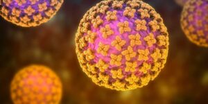 Exclusive Suspicion of Hantavirus in Romania. What Dr. Marinescu (Matei Balș) says: “The authorities should get rid of rodents, first of all”