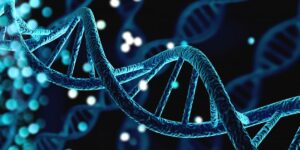 Genetics may influence success more than the environment we grow up in, a study of twins suggests
